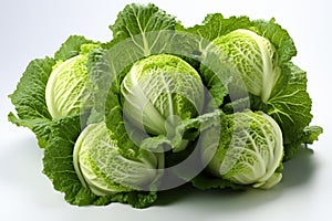 large heads of fresh young cabbage.