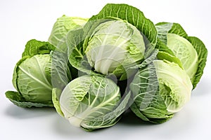 large heads of fresh young cabbage.