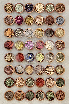 Large Herbal Medicine Collection