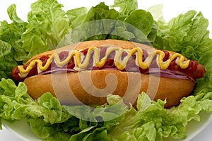 Large hotdog on a bed of lettuce