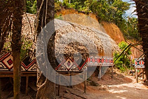 Large house covered with sape grass, Indigenous tribe village near Manaus, Amazonas State, Brazil