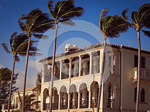 Large House West Palm Beach Palm Trees
