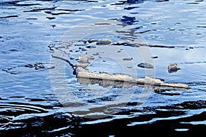 Large ice floe in blue winter water
