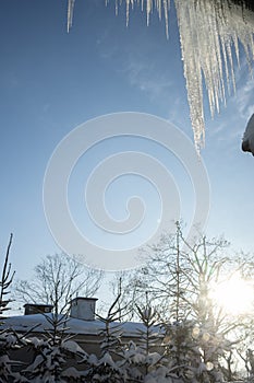 large icicles hanging from the roof on blue background