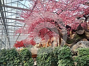 Large indoor artificial trees