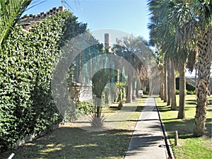 Large Inner Courtyard in Atalaya