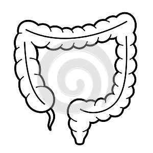 Large intestine anatomy vector icon