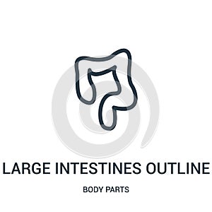 large intestines outline icon vector from body parts collection. Thin line large intestines outline outline icon vector