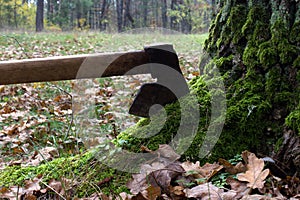 Large iron old ax stuck into a tree trunk with bright green moss