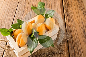 Large juicy apricots in a wooden box with rope handles on a village table. seasonal fruits. ingathering photo