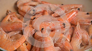 Large king tiger prawns are thawed in a pan. Close-up. Preparatory phase before cooking. Boiled Frozen Seafood