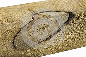 A large knot in a pine board. Raw wood texture in a cut piece of wood with a chainsaw