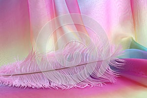 Beautiful delicate pink feather background