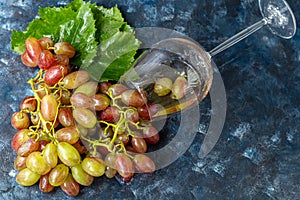 Large and light, wine grapes. It is covered with a white coating called yeast. Glasses are filled with light wine. Water drops on