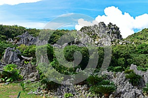 Large limestone rock formations in Daisekirinzan parkin Okinawa