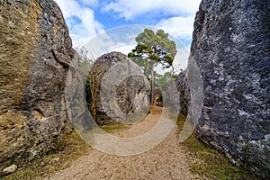 Large limestone rocks in the forest of the Enchanted City of Cuenca