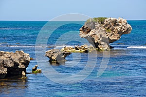 Large Limestone Rocks: Indian Ocean, Western Australia