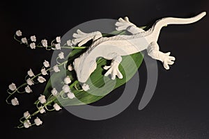 Large lizard on a green leaf and sunflowers on a black background