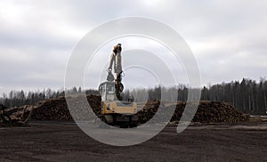 A large loader of logs at a sawmill of coniferous trees