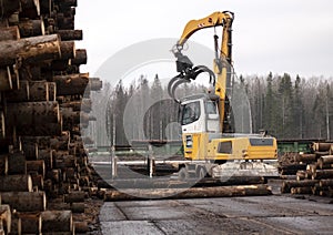 A large loader of logs at a sawmill of coniferous trees