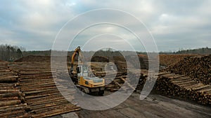A large loader of logs at a sawmill of coniferous trees