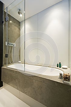 Large luxury bath with shower attachment photo