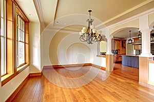 Large luxury dining room interior with kitchen and arch.