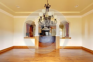 Large luxury dining room interior with kitchen and arch.