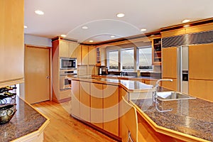 Large luxury modern wood kitchen .