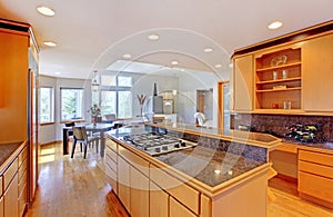 Large luxury modern wood kitchen .