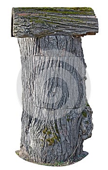 A large mailbox made of old rotten oak trunk isolated