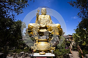 A large, majestic and beautiful figure of a seated golden buddha