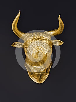 El gran dorado toro cabeza un ídolo sobre el oscuro 