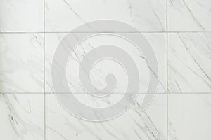 Large marble tile bathroom wall