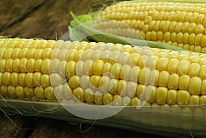 Large, mature, young corn on the wooden background