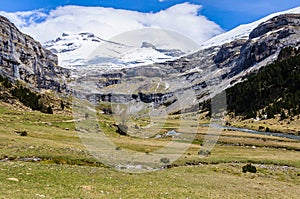 Large meadow in Ordesa Valley, Aragon, Spain