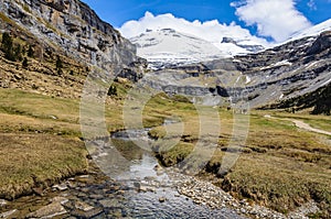 Large meadow in Ordesa Valley, Aragon, Spain