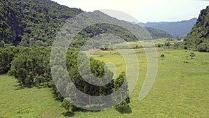 Large meadow with trees against mountains aerial view