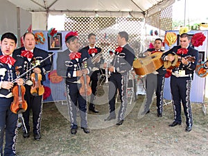 Large Mexican Mariachi Band