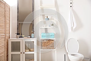 Large mirror and decorative ladder in bathroom