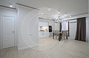 Large modern new well designed white kitchen in studio flat interior