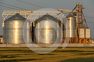 A large modern plant located near a wheat field for the storage and processing of grain crops. view of the granary illuminated by