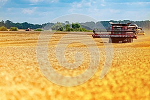 Large modern red combine harvester in a wheat field