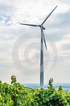 Large modern wind turbine with vine plants in front during cloudy day, view from low angle
