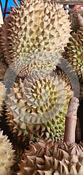 Large montong durians in Pasaraya at cheap prices