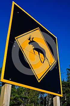 Large moose crossing warning sign