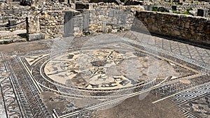 Large mosaic in the House of Orpheus at the Archaeological Site of Volubilis in Morocco.