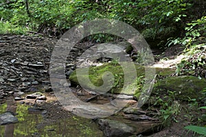 Large moss covered rock in stream