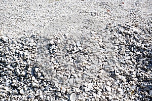 Large mound of sea shells background