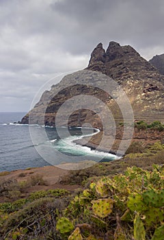 large mountain by the sea and a cactus at the base of the photo under the cloudy sky